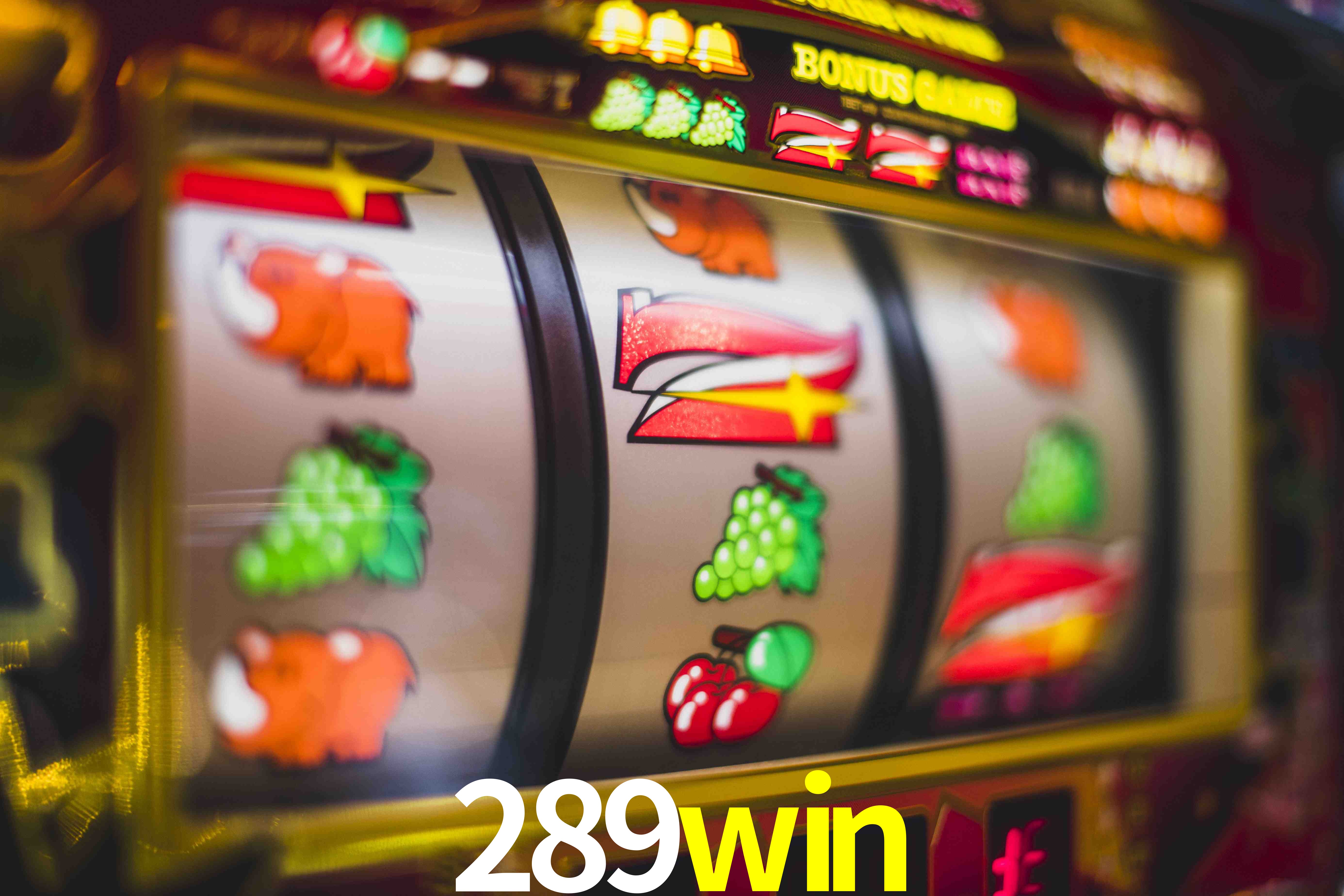 Basketball Betting 289win